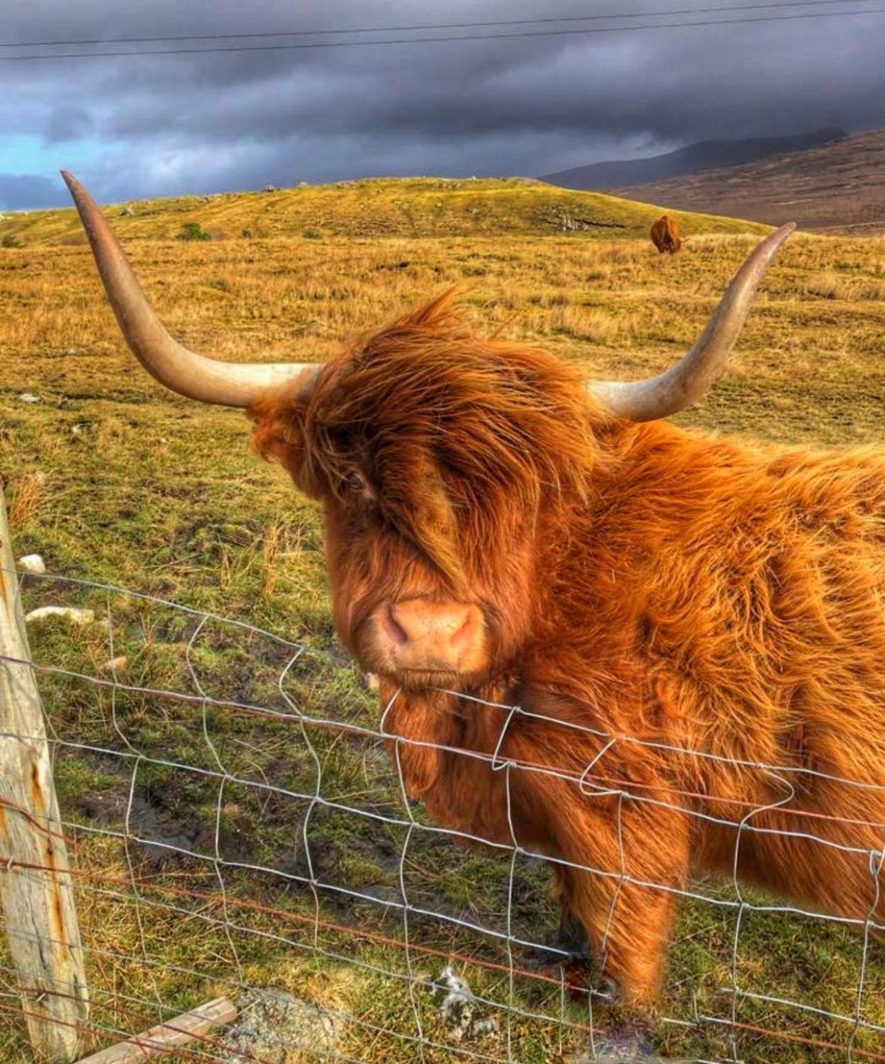 Hotel Roam West Fort William Esterno foto